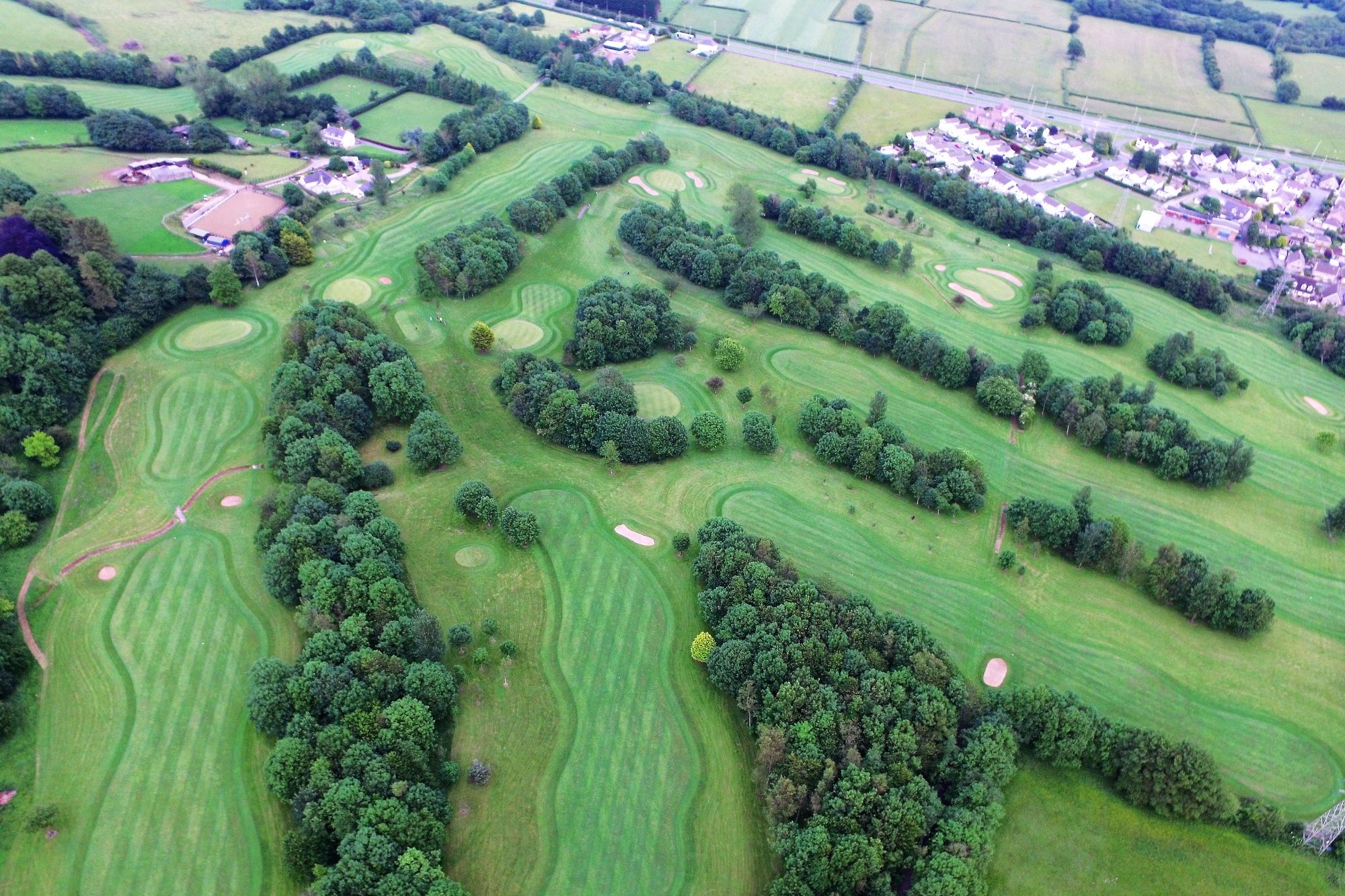 Image of golf ball on tee on grass.